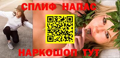 ешки Бийск