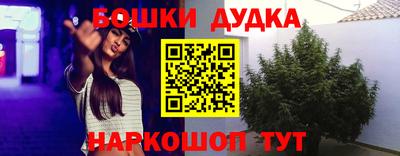 Альфа ПВП Беслан