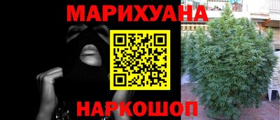 ешки Бийск