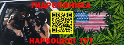ешки Бийск