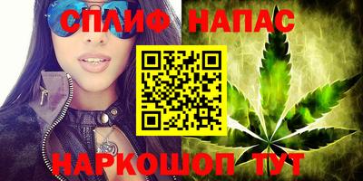 ешки Бийск
