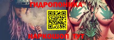 шишки Берёзовский