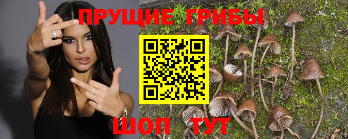 Когалым  Псилоцибиновые грибы GOLDEN TEACHER  Вход с VPN 