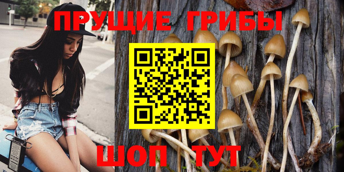 Галлюциногенные грибы Cubensis Когалым